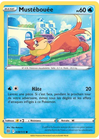 Mustébouée #038 — Stars Étincelantes