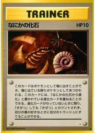 Mysterious Fossil — Mystery of the Fossils