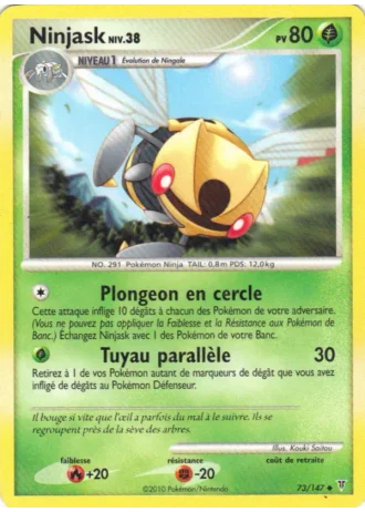 Ninjask #73 — Vainqueurs Suprêmes