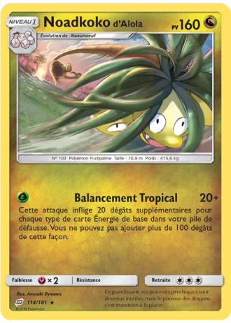 Noadkoko d’Alola #114 — Duo de Choc