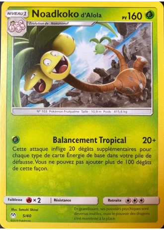 Noadkoko d'Alola #5/40 — Collection McDonald's 2019