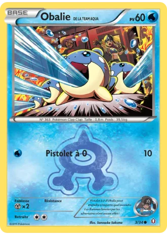 Obalie de la Team Aqua #3/34 — Double Danger