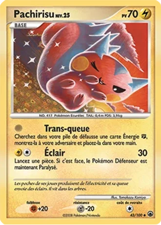Pachirisu #43 — Aube Majestueuse