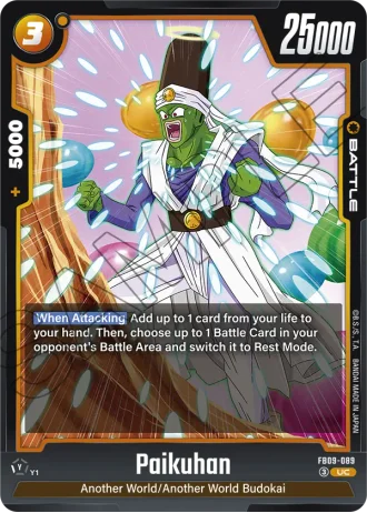 Paikuhan FB09-089 — Dual Evolution (FB09)