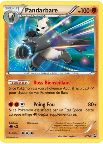 Pandarbare XY50 — XY Promos