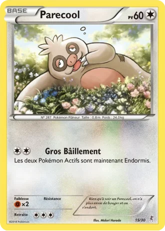 Parecool #15 — XY Kit du dresseur (Scalproie)