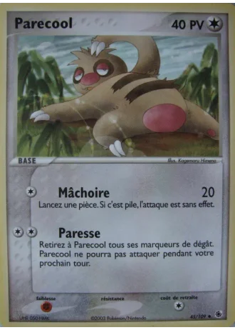 Parecool #45/109 — EX Rubis & Saphir
