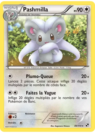 Pashmilla #89 — Noir & Blanc