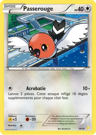Passerouge #16 — XY Kit du dresseur (Pikachu Libre)