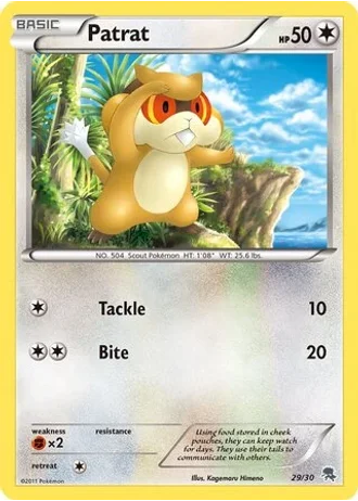 Patrat #29/30 — BW trainer Kit (Zoroark)