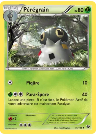 Pérégrain #16/146 — XY