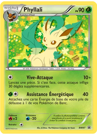 Phyllali BW87 — Noir & Blanc Promos