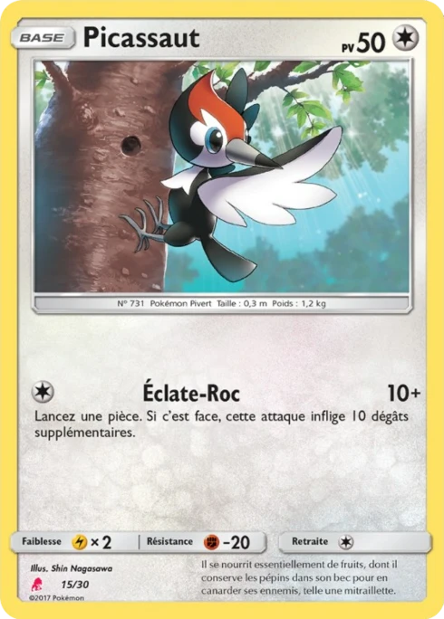 Picassaut #15 — SM Kit du dresseur (Lougaroc)
