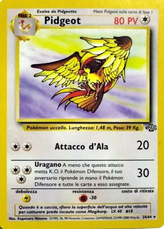 Pidgeot (1ª Edizione) #24/64 — Jungle (1ª Edizione)