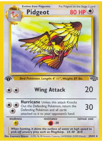 Pidgeot #24 — Jungle