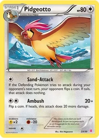 Pidgeotto #23 — XY trainer Kit (Wigglytuff)