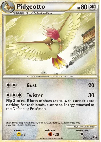 Pidgeotto #47 — Triumphant
