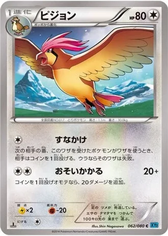 Pidgeotto #62 — Wild Blaze