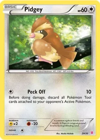Pidgey #29 — XY trainer Kit (Wigglytuff)
