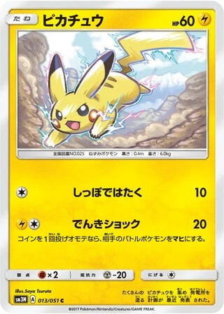 Pikachu #13 — Darkness that Consumes Light