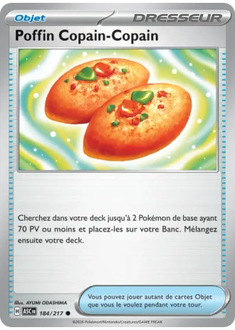 Poffin Copain-Copain #184/217 — Héros Transcendants