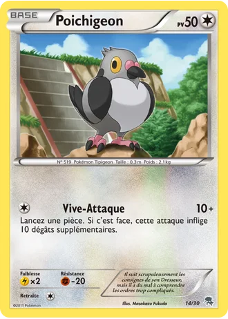 Poichigeon #14 — BW Kit du dresseur (Zoroark)