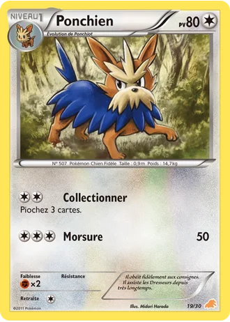 Ponchien #19 — BW Kit du dresseur (Minotaupe)
