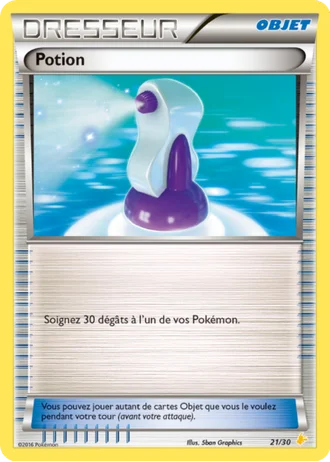 Potion #21/30 — XY Kit du dresseur (Pikachu Libre)
