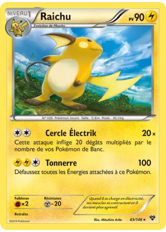 Raichu #43/146 — XY