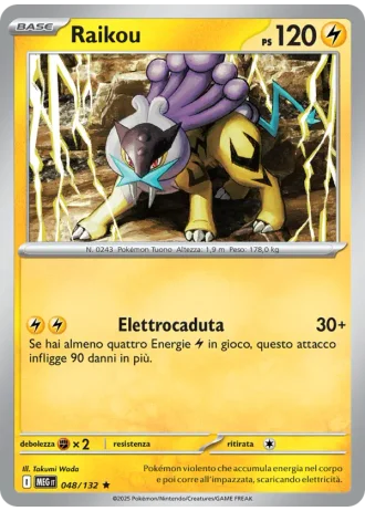 Raikou #048/132 — Megaevoluzione