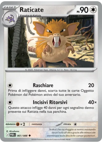 Raticate #061 — Equilibrio Perfetto