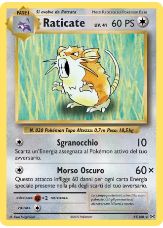 Raticate #67/108 — Evoluzioni