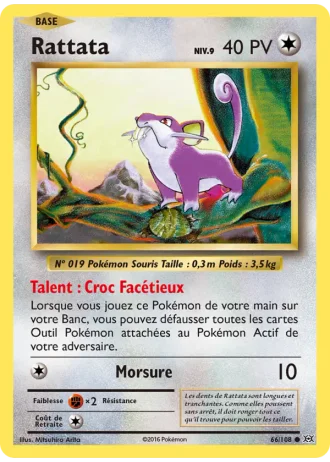 Rattata #66/108 — Évolutions