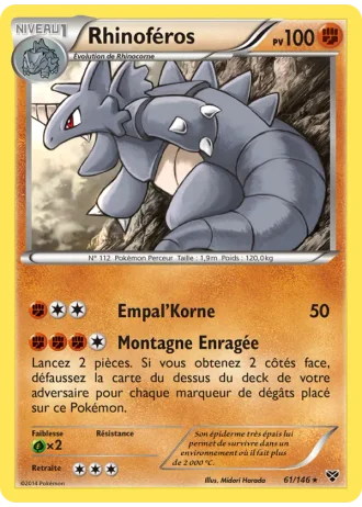 Rhinoféros #61/146 — XY