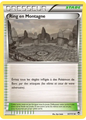 Ring en Montagne #97/111 — Poings Furieux