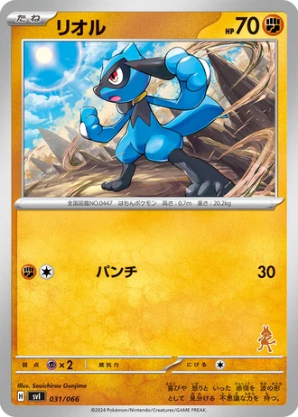 Riolu #31 — Battle Academy