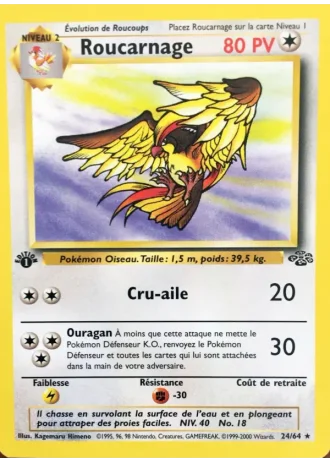 Roucarnage #24/64 — Jungle