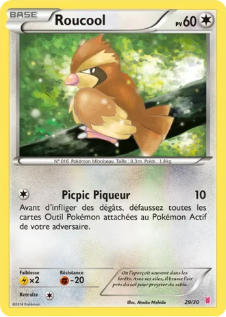 Roucool #29 — XY Kit du dresseur (Grodoudou)