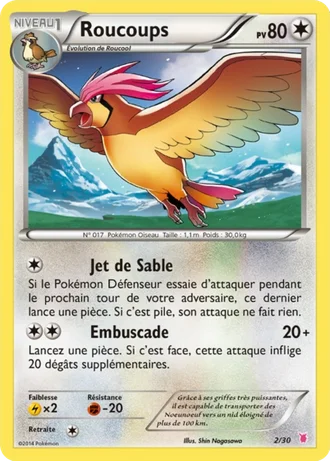 Roucoups #2 — XY Kit du dresseur (Grodoudou)