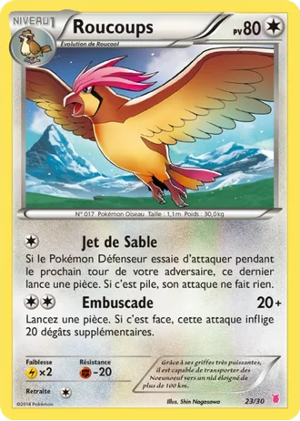 Roucoups #23 — XY Kit du dresseur (Grodoudou)