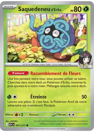 Saquedeneu d'Erika #007/217 — Héros Transcendants