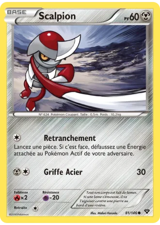 Scalpion #81/146 — XY