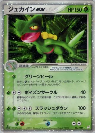 Sceptile ex #6 — Magma vs Aqua: Two Ambitions