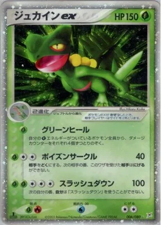 Sceptile ex #6 — Magma vs Aqua: Two Ambitions