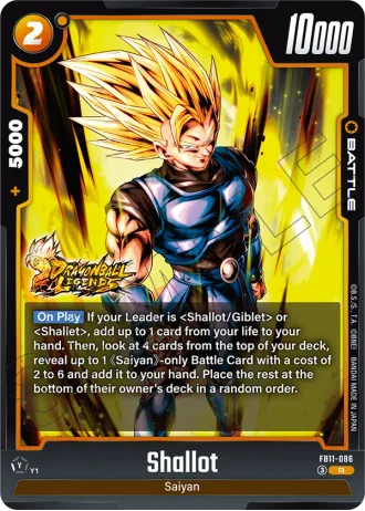 Shallot FB11-086 — Brightness of Hope (FB11)