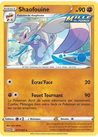 Shaofouine #77/163 — Styles de combat