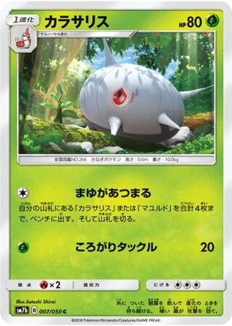 Silcoon #7 — Fairy Rise
