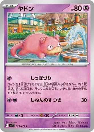 Slowpoke #29 — Snow Hazard