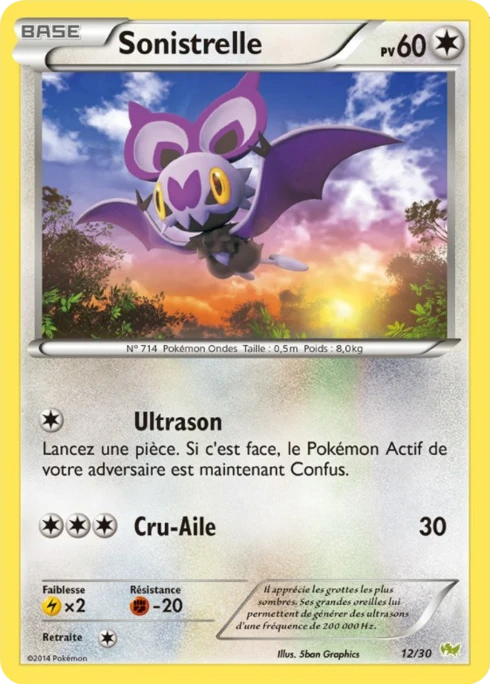 Sonistrelle #12 — XY Kit du dresseur (Bruyverne)