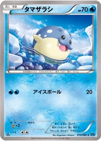 Spheal (1st Edition) #19 — Wild Blaze (1st Edition)